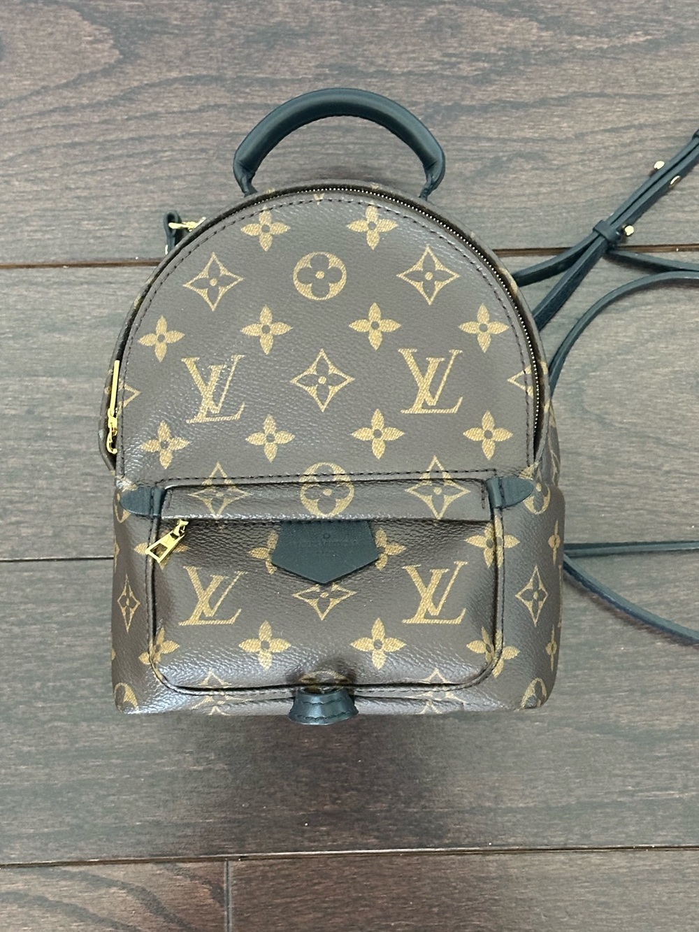 Louis Vuitton Palm Springs Mini Backpack - Picture 5 of 16